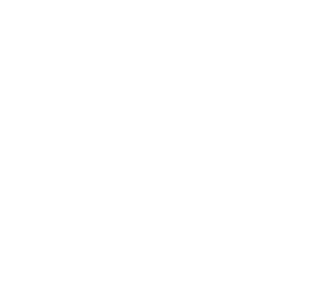 logo dolce fenomena